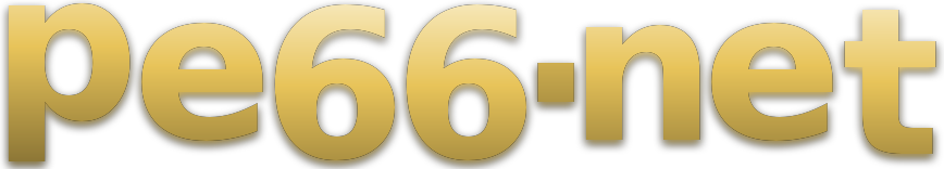 pe66.net logo